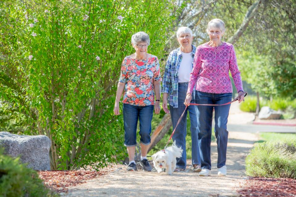 Residents on pet-friendly walking path with dog
